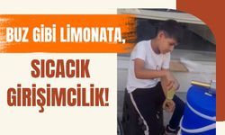 Buz Gibi Limonata, Sıcacık Girişimcilik!