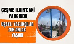 Çeşme Ildır'daki Yangında Uşaklı Yazlıkçılar Zor Anlar Yaşadı