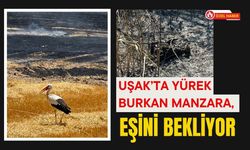 Uşak’ta Yürek Burkan Manzara, Eşini Bekliyor