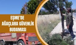 Eşme’de Ağaçlara Güvenlik Budaması