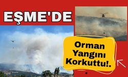 Eşme'de Orman Yangını Korkuttu!..