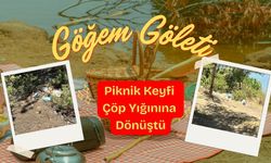 Göğem Göleti'nde Piknik Keyfi Çöp Yığınına Dönüştü