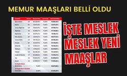 Memurların Temmuz 2025 Zamları Belli Oldu: İşte Meslek Meslek Yeni Maaşlar