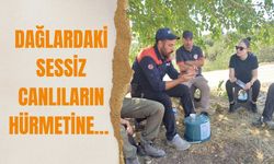 Dağlardaki Sessiz Canlıların Hürmetine…