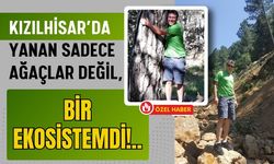 Kızılhisar’da Yanan Sadece Ağaçlar Değil, Bir Ekosistemdi!..