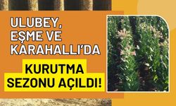 Ulubey, Eşme ve Karahallı’da Kurutma Sezonu Açıldı!