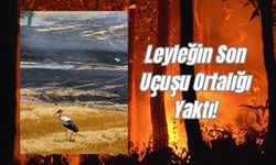 Uşak'ta Leyleğin Son Uçuşu Ortalığı Yaktı!