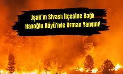 Sivaslı Hanoğlu Köyü’nde Orman Yangını!