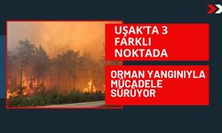 Uşak’ta 3 Farklı Noktada Orman Yangınıyla Mücadele Sürüyor