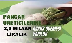Pancar Üreticilerine 2,5 Milyar Liralık Avans Ödemesi Yapıldı!