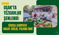 Uşak'ta Tezgahlar Şenlendi: Sivaslı Karpuzu Hasat Edildi, Pazara İndi