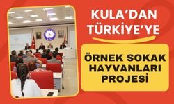 Kula’dan Türkiye’ye Örnek Sokak Hayvanları Projesi