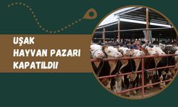 Uşak Hayvan Pazarı ikinci Bir Talimata Kadar Kapatıldı!