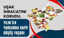 Uşak İhracatta Yılın İlk Yarısında Hafif Düşüş Yaşadı