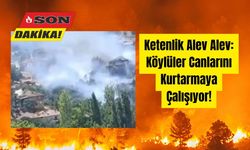 Ketenlik Alev Alev: Köylüler Canlarını Kurtarmaya Çalışıyor!