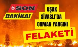 Uşak Sivaslı'da Orman Yangını Felaketi!..