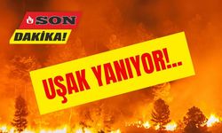 UŞAK’TA ÖNLEM ALINMAZSA ALEVLER KÖYLERİ YUTACAK!