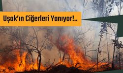 Uşak’ın Ciğerleri Yanıyor!..