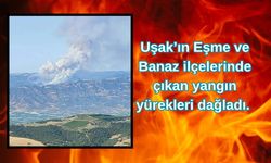 Uşak’ın Eşme ve Banaz ilçelerinde çıkan yangın yürekleri dağladı