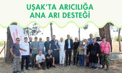 Uşak’ta Arıcılığa Ana Arı Desteği