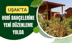 Uşak'ta Hobi Bahçelerine Yeni Düzenleme Yolda