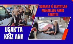 Sokakta ki feryatlar mahallede panik yarattı!