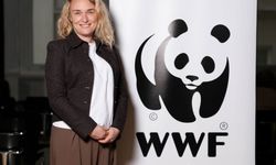 WWF-Türkiye'den Uyarı: “1.8 Dünya varmış gibi tüketiyoruz”