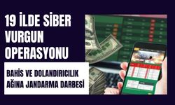 19 İlde Siber Vurgun Operasyonu