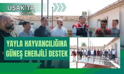 Uşak'ta Yayla Hayvancılığına Güneş Enerjili Destek
