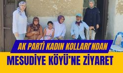 AK Parti Kadın Kolları’ndan Mesudiye Köyü’ne Ziyaret