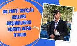 AK Parti Gençlik Kolları Başkanlığına Numan Acar Atandı