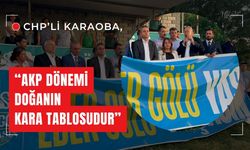 CHP’li Karaoba, “AKP Dönemi Doğanın Kara Tablosudur”