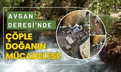 Avgan Deresi’nde Çöple Doğanın Mücadelesi!