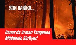 Banaz'da Orman Yangınına Müdahale Sürüyor!