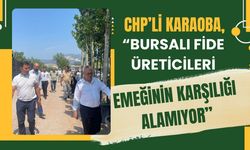 CHP’li Karaoba, " Fide Üreticileri Emeğinin Karşılığını Alamıyor”