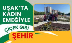 Uşak’ta Kadın Emeğiyle Çiçek Gibi Şehir