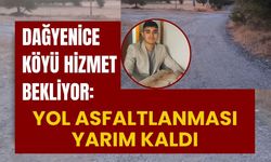 Dağyenice Köyü Hizmet Bekliyor: Yol Asfaltlanması Yarım Kaldı
