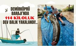 Demirköprü Barajı’nda 114 Kiloluk Dev Balık Yakalandı!..