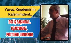DSİ İş Başında, Uşak Susuz, Protokol Umursuz!
