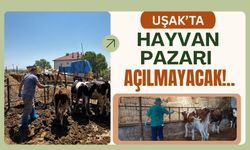 Uşak’ta Hayvan Pazarı Açılmayacak!..