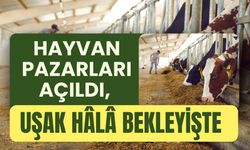 Hayvan Pazarları Açıldı, Uşak Hala Bekleyişte