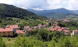 Türkiye’de Doğal Yaşama Dönüş Hız Kazanıyor