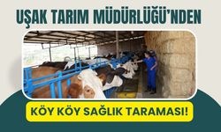 Uşak Tarım Müdürlüğü’nden Köy Köy Sağlık Taraması!