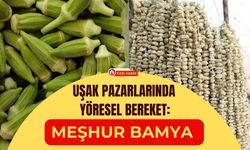 Uşak Pazarlarında Yöresel Bereket: Meşhur Bamya Tezgahlarda Yerini Aldı