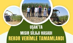 Uşak’ta Mısır Silajı Hasadı Rekor Verimle Tamamlandı