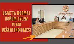 Uşak’ta Normal Doğum Eylem Planı Değerlendirmesi