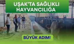 Uşak’ta Sağlıklı Hayvancılığa Büyük Adım!