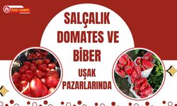 Salçalık Domates ve Biber Uşak Pazarlarında