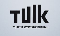 Yurt İçi Üretici Fiyat Endeksi Temmuz'da Yüzde 24,19 Arttı