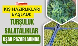 Kış Hazırlıkları Başladı: Turşuluk Salatalıklar Uşak Pazarlarında